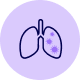 Lungs